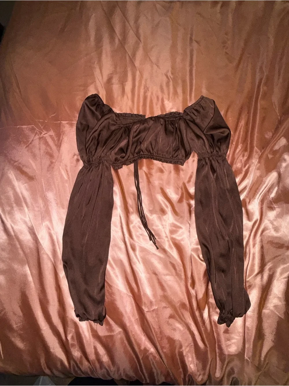 Brown Satin Cropped Top - Unbranded